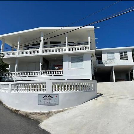 Los Roires Beach Apartments Fajardo Exterior foto
